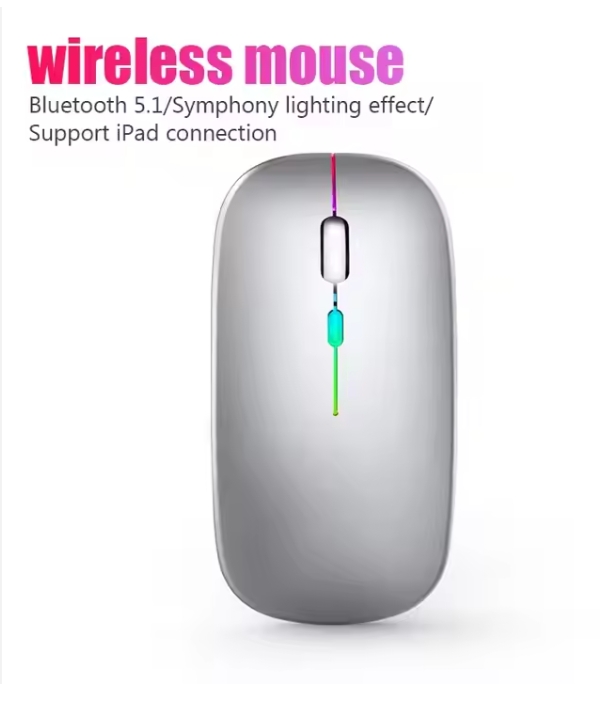 RECHARGER WIRELESS ERGONOMIC MOUSE